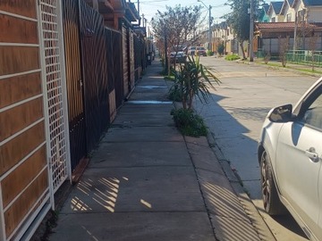 Imagen 12