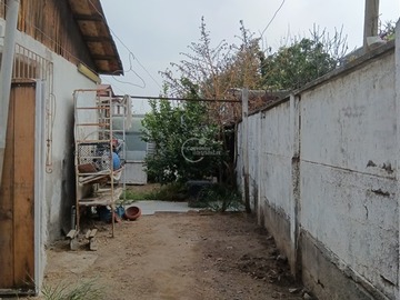 Imagen 15