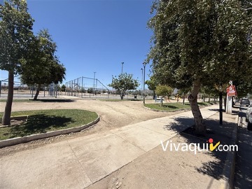 Imagen 6