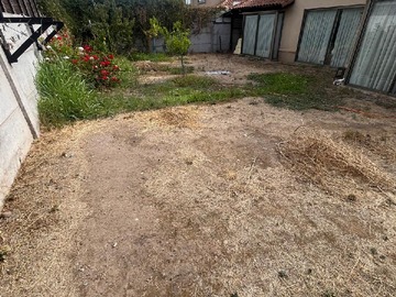 Imagen 19