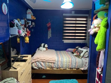 Imagen 5