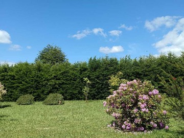 Venta / Casa / Padre Las Casas