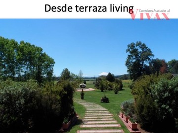 Imagen 12