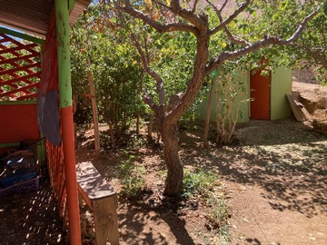 Imagen 3