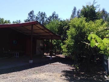 Imagen 5