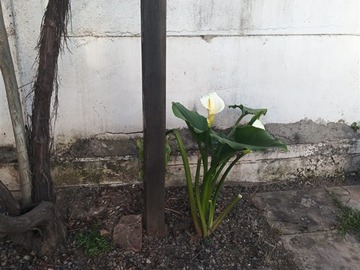 Imagen 12