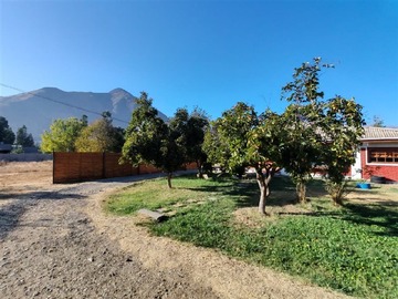 Imagen 7