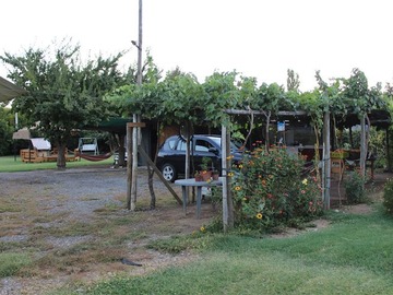 Imagen 11