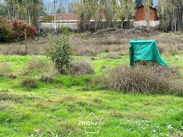 Imagen 33