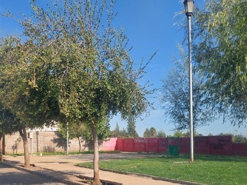 Imagen 26