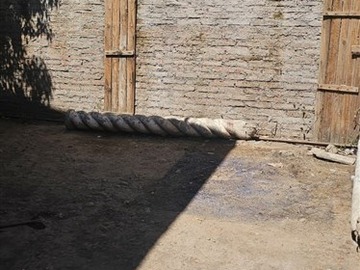 Imagen 16