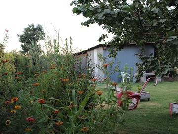 Imagen 5