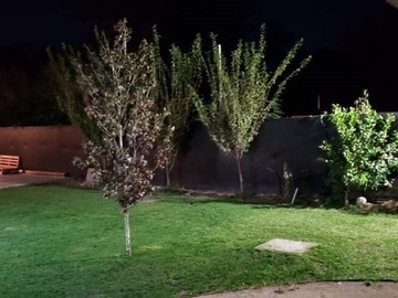 Imagen 20