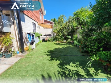 Imagen 13