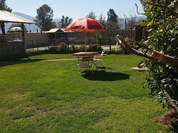 Imagen 14