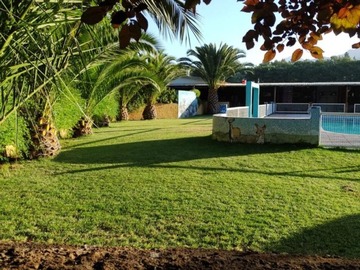 Imagen 6