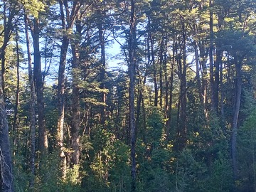 Área lista para construir