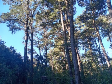 Acceso desde cam. Principal