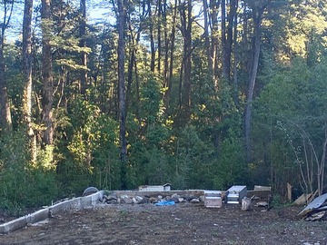 Espacio a orilla de camino