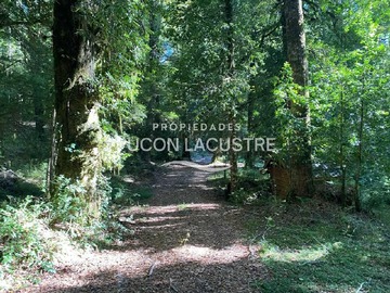Venta / Casa / Panguipulli