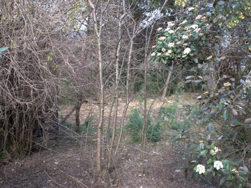 Imagen 5
