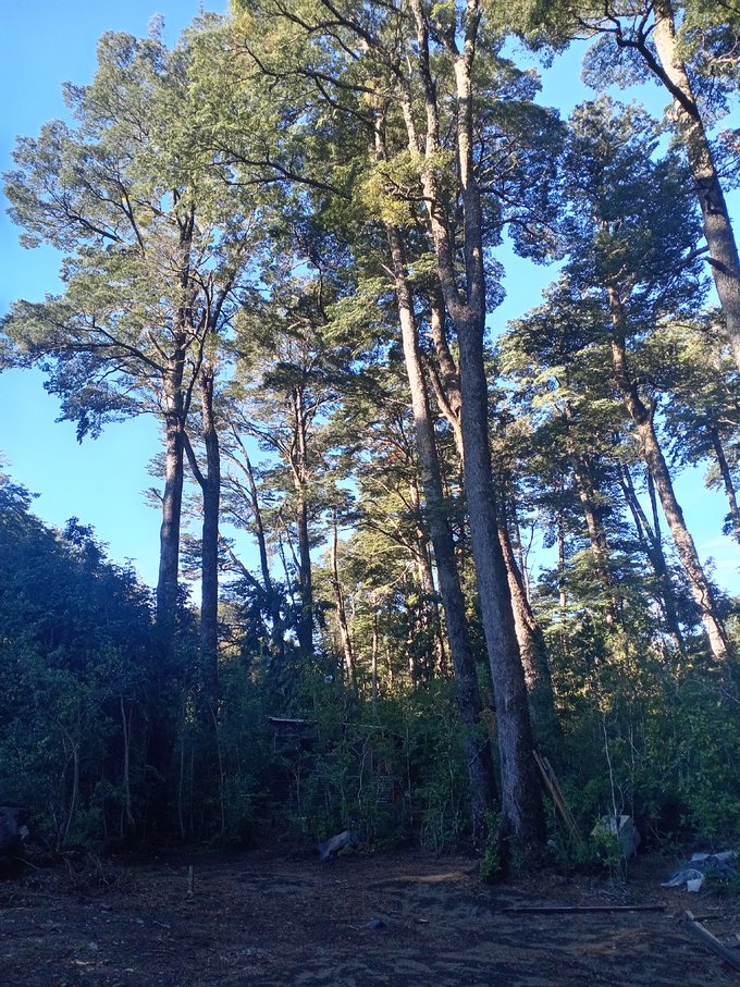 Acceso desde cam. Principal