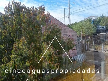 Imagen 15