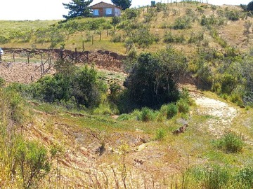 Imagen 17