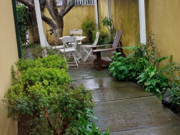 Imagen 5