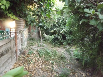 Imagen 13