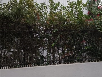 Venta / Casa / Pedro Aguirre Cerda