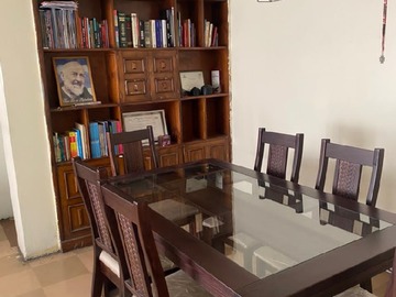Imagen 11