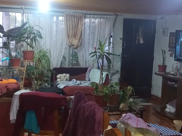 Imagen 15