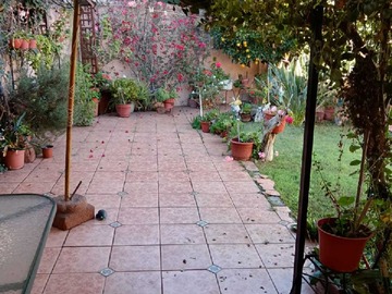Imagen 19