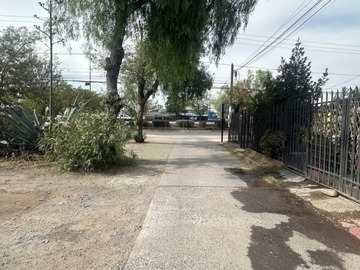 Imagen 8