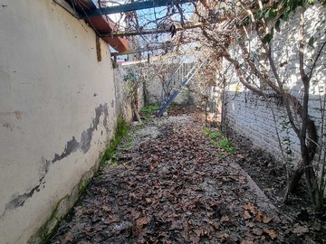 Imagen 5