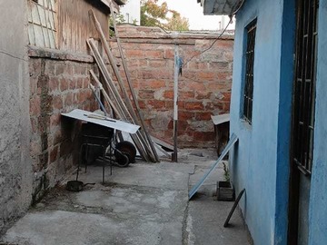 Imagen 13