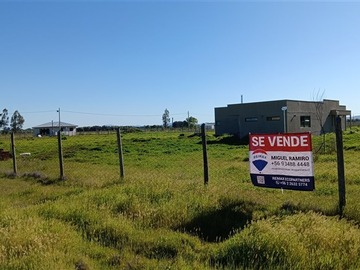 Venta / Casa / Pelarco