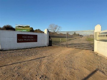 Venta / Casa / Pelarco