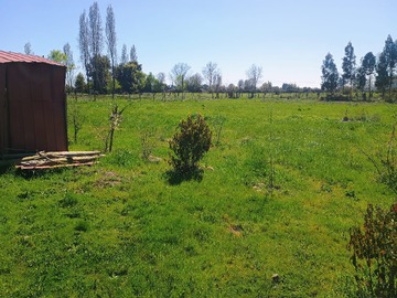 Imagen 6