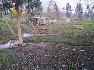 Imagen 6