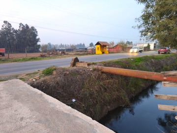 Imagen 7