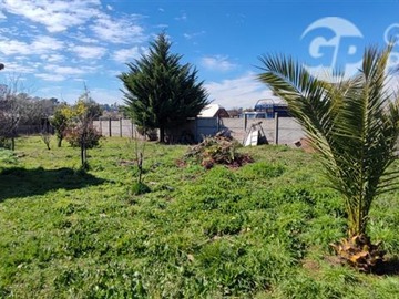 Imagen 11