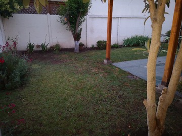 Imagen 17