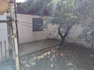 Imagen 11