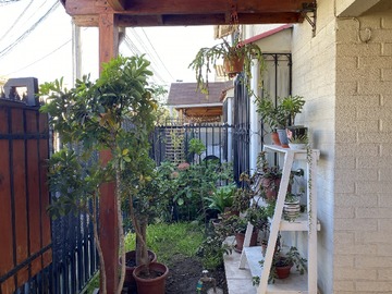 Imagen 23