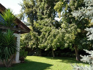 Venta / Casa / Peñaflor