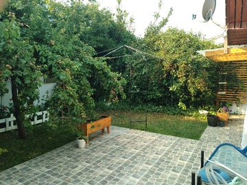 Patio trasero