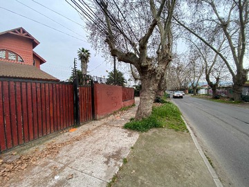 Imagen 10