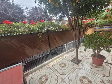 Imagen 5